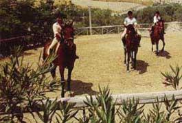 Agriturismo Fassi，位于Monasterace的酒店