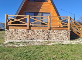 Cabana Teo&Matei，位于Mihăeşti的酒店