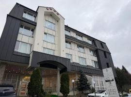Andy Grand Hotel Predeal，位于普雷代亚尔的带泳池的酒店