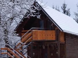 Cabana Cavnic Maramures，位于卡夫尼克的酒店