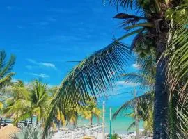 Casabeiramaritamaracá