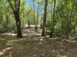 Refugio Koyamento，位于梅利佩乌科的酒店