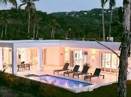 Charming Villa GUGI #80 in Palmeras de Coson, Las Terrenas