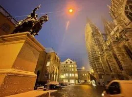 Cityappartment am Regensburger Dom