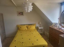 Nice Apartment，位于奥尔堡的宠物友好酒店