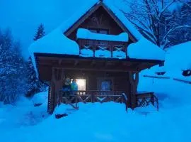 Domek w dolinie ciszy Pieniny