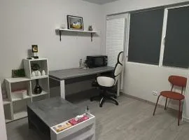 MANIU-APUSULUI Studio