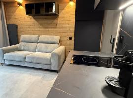 Appartement au pied des pistes，位于沙泰勒的酒店