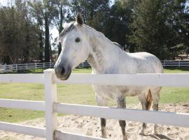 Wine Country Ranch Escape，位于比尔顿的酒店