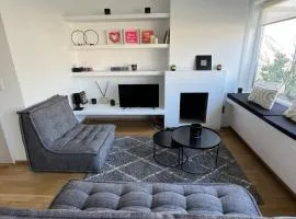 Beautiful penthouse at 5min of Albert place