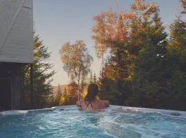 Spa, Heated Pool, Billiards & Firepit La Romane