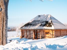 Metsapiiga Puhkemaja，位于Vilina的宠物友好酒店