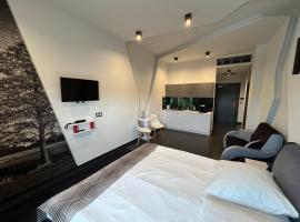 Hotel Orion Chełmiec koło Nowego Sącza，位于Chełmiec的酒店