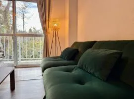 FUJI Forest House203