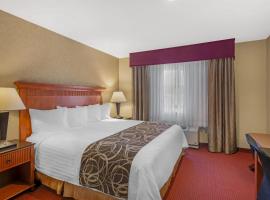 峡谷杉木贝斯特韦斯特PLUS酒店，位于奥格登的滑雪度假村