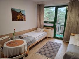 Nad Zalewem w Serocku z siłownią，位于斯诺科的酒店