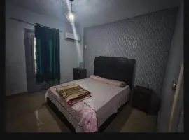 قرية النورس