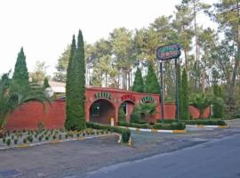 Motel El Bosque，位于Vedra的酒店