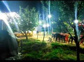 Organic Stays Manali