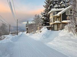 Senja Skaland，位于Melkarhola的别墅