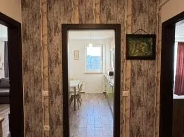 Warm and Stylish Apartament at Coresi