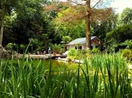 CoCo Cabin Luxe Tiny House - Privé Hottub - Strand & zwemvijver - Privacy