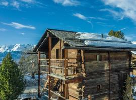 Les Mazots du Hameau des Biquettes - Charme Alpin et Cuisine équipée，位于韦尔科兰的酒店