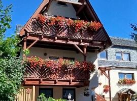 Ferienwohnung Neubert，位于沃尔肯施泰因的酒店