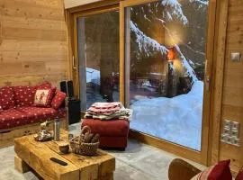 Chalet La Foux d Allos centre Station