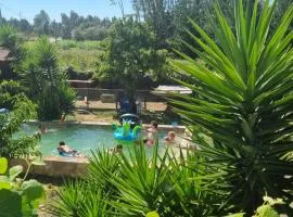 Yuccasa - Small Glamping Camping & Studio's