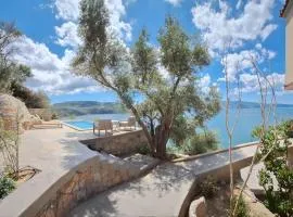 Aqua Two Storey House