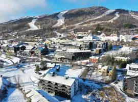 Central apartment - walking distance to everything