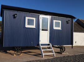 Burnside of Ae Glamping Shepherd's Hut，位于邓弗里斯的酒店