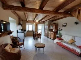 Gîte rénové au cœur de l'Auvergne - FR-1-582-336