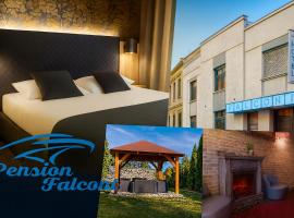 Pension Falconi，位于科林的酒店