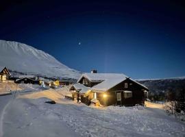 Rustik hytte i Gausta, ski in, ski out, 10 beds，位于Gaustablikk的酒店