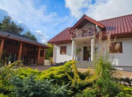 Domki nad jeziorem Ostoja Głuszyńska，位于Potołówek的酒店