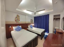 Ferellee Beach Front Inn，位于圣维森特的酒店