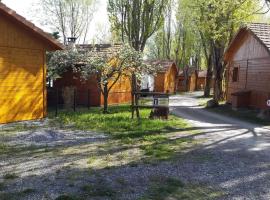 ZEcamping 2 étoiles animaux acceptés snack-bar et vue lac，位于Neffes的酒店