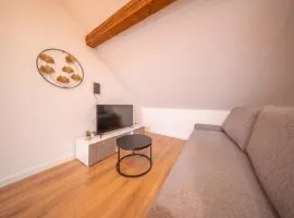 Super Appartement Near Basel 8 4 personnes