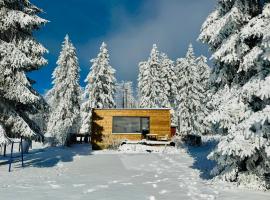 Tiny Chalet Stuga Am Rennsteig mit Kamin und Garten, Hunde Willkommen，位于Eisfeld的酒店