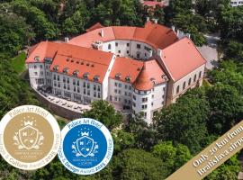 Palace Art Hotel Pezinok，位于佩济诺克的酒店