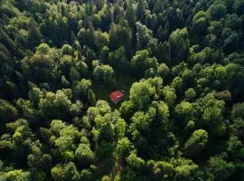 Gozdna koča Studeno