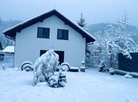 Apartm&aacute;n Malej Furmanky - Podbiel，位于Podbiel的宠物友好酒店