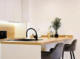 Košice Pasteur Apartment