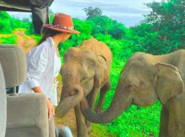 Ora Safari Resort，位于达瓦拉维的酒店