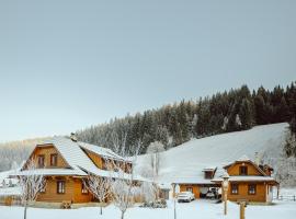 Valašský dvůr，位于大卡尔洛维采的酒店