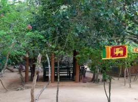 亚拉维尔德露营地