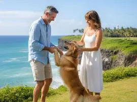 Apto Holibai Nidiño, Escapada para Parejas y su Mascota, Playa Cercana, Baiona, Galicia