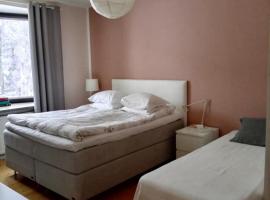 Kemi city center 2 room FREE PRIVATE PARKING with heating plug，位于凯米的酒店